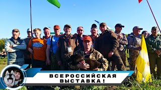 ВСЕРОССИЙСКАЯ ВЫСТАВКА ЛАЕК В КАЗАНИ 2024 ГОД!!!