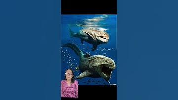 Placiderms and Trivia Answers #sciencetrivia #scienceterms #devonian #paleontology