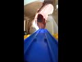 恐竜に舐められるプラレールレイアウト　#shorts