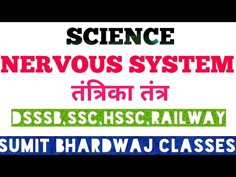 वीडियो: तंत्रिका तंत्र: 10 भ्रांतियां और मिथक