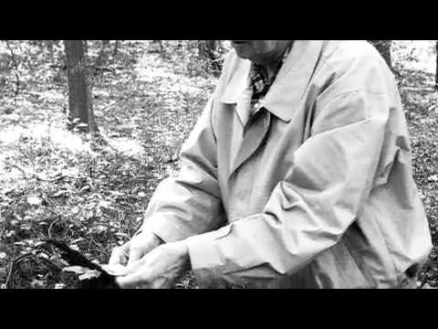 Video: Hvor Fremtredende Psykometrisk George McMullen Var Med På å Finne Det Gamle Alexandria! - Alternativ Visning