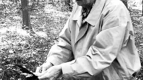 Intuitive Archaeology by George McMullen