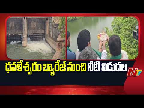 ధవళేశ్వరం బ్యారేజ్ గేట్లు ఎత్తి దిగువకు నీరు విడుదల చేసిన మంత్రి దుర్గేష్ | Minister Kandula Durgesh - NTVTELUGU