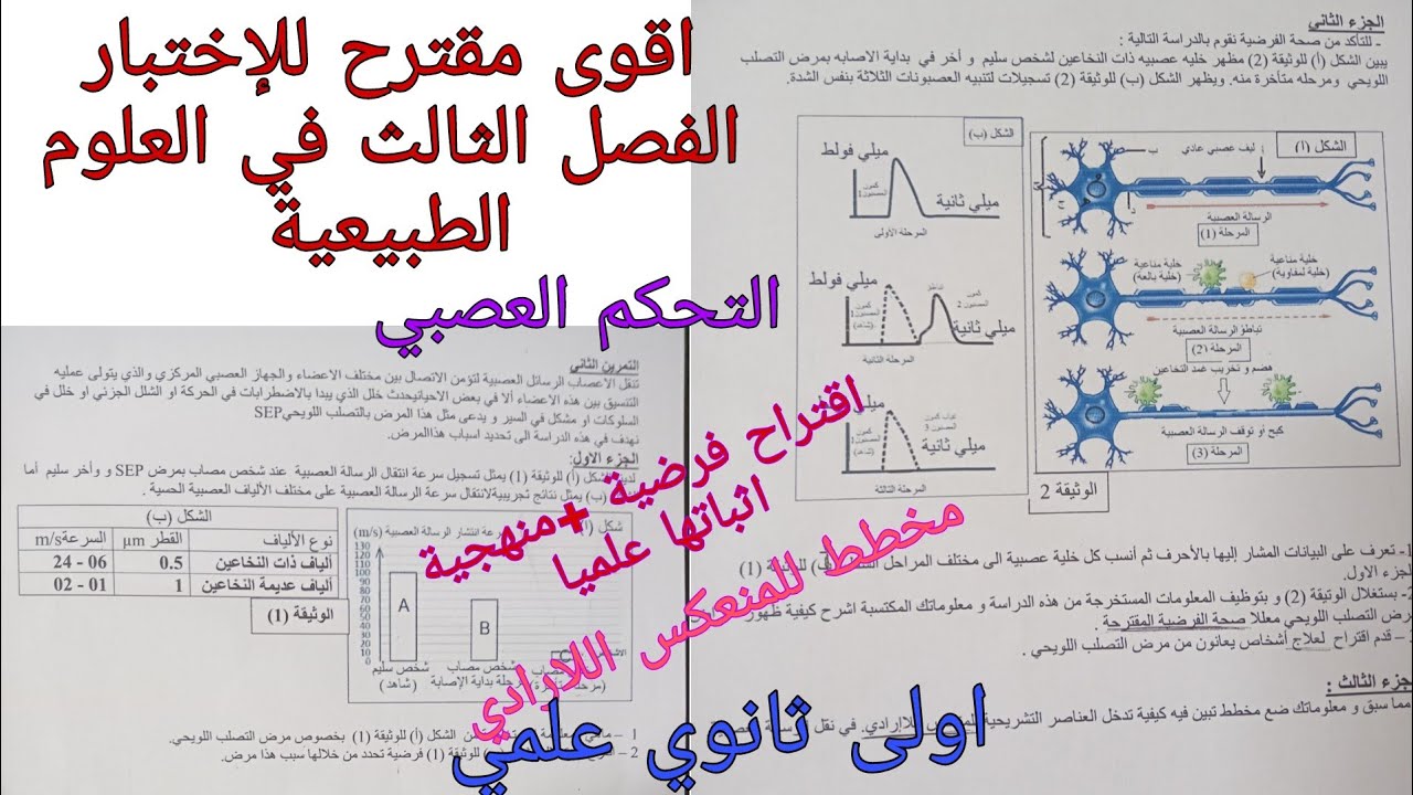 اقوى مقترح للإختبار الفصل الثالث في العلوم الطبيعية للسنة الاولى ثانوي علمي حول التحكم العصبي