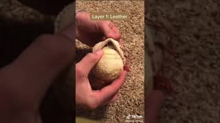 What’s Inside Baseball?