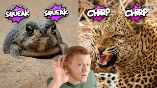 99% Can't Identify These Animals by Their Sounds Alone