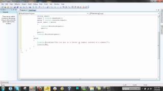 Celebrity Input and Output in the Console in C# Net Worth