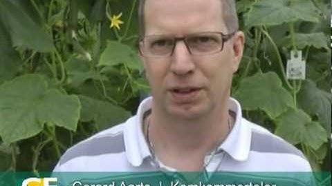 "Met één inpakrobot besparen we twee mensen!"