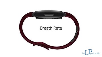 Introducing the Helo LX from World Global Network