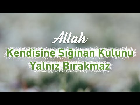 ALLAH, KENDİSİNE SIĞINAN KULUNU YALNIZ BIRAKMAZ! l Nureddin Yıldız