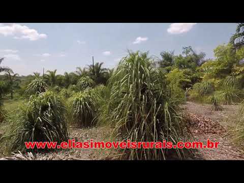 Sítio produção plantas ornamentais - Uberaba - 8,84 hectares