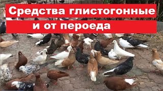 видео: Каким противоглистовым средством пользоваться летом? Если голуби не купаются от пероеда... картинка: Каким противоглистовым средством пользоваться летом? Если голуби не купаются от пероеда...