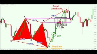 What is the Forex Butterfly Pattern