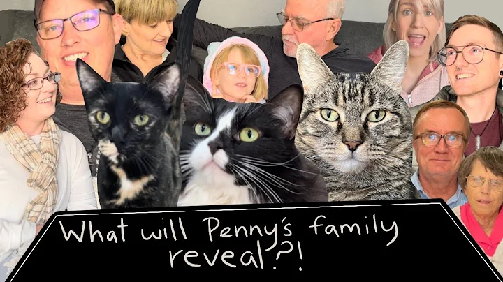 Penny the talking cat has a brother?! Exclusive in...