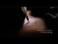 Tattoo Needle Techniques in Super Slow Motion — Outlining &amp; Shading at 1000fps | T-Eight
