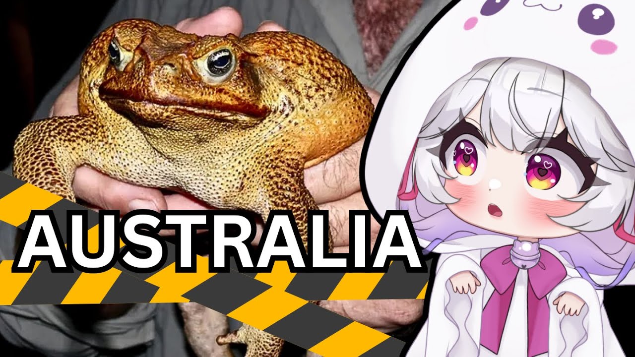 Реакция на More Parz впервые! Жаба, которая покорила Австралию.
