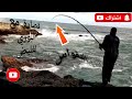 تقنيات صيد البوري بالپيلوطة والتوش الفرشية