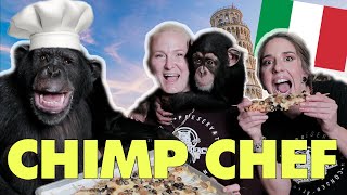 CHIMPANZEE COOKING CLASS!