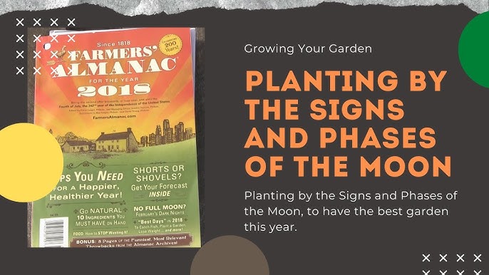 The Science Behind Moon Phase Gardening – Roger's Gardens