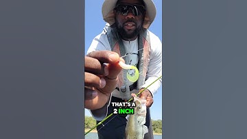 DONT CAST AT ANOTHER CRAPPIE WITH THESE 3 THINGS!