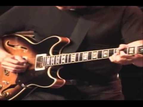 Steely Dan Guitar Solo Medley LIVE  Hank Easton Gr...