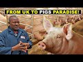 He left the uk to become a pig farmer in nigeria
