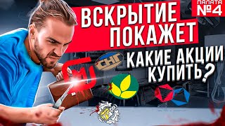 ВСКРЫТИЕ ПОКАЖЕТ! КАКИЕ АКЦИИ ПОКУПАТЬ В 2022? ПАЛАТА №4. РУСАГРО, САМОЛЕТ, СЕГЕЖА И ДР.