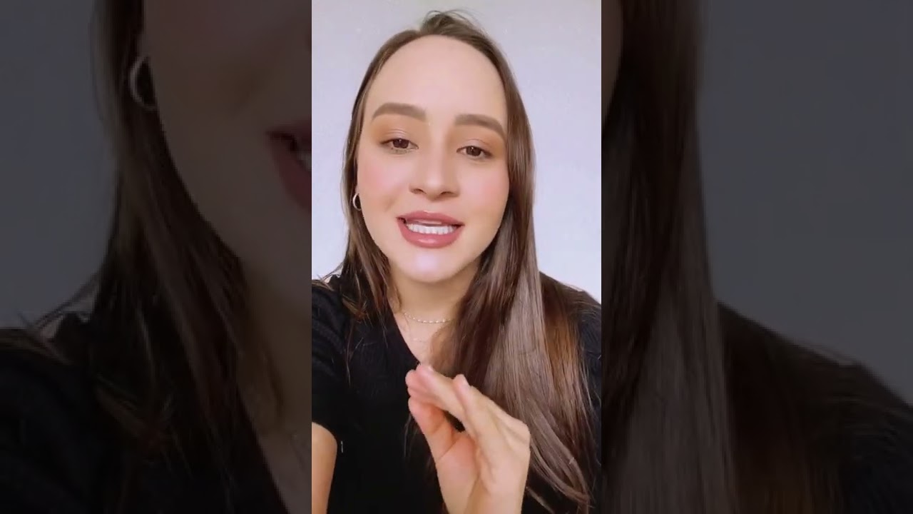 Como ser organizar com PLANNER DIÁRIO PDF