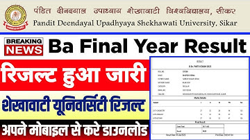Shekhawati University Ba Final Result 2023 / Pdusu Ba 3rd Year Result 2023 / Pdusu Ba Bsc Result2023