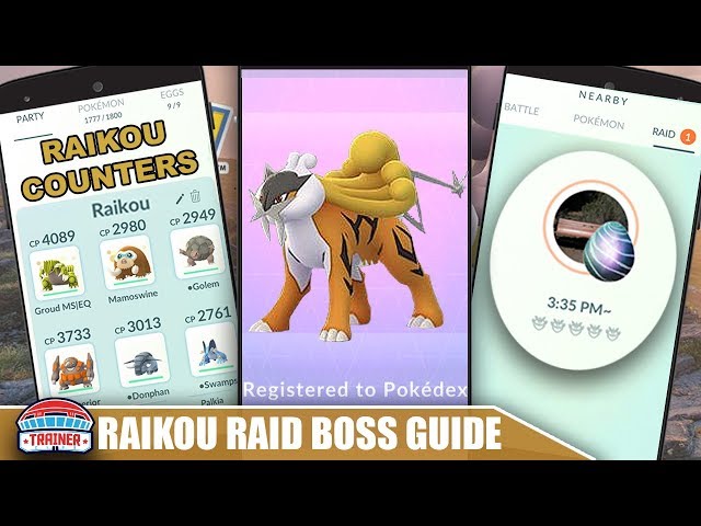 TOP SHINY RAIKOU COUNTERS, 100 IV'S + RAID GUIDE TO BEAT THE ELECTRIC  LEGENDARY
