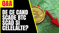 cum este piața bitcoin cele mai bune dealeri bitcoin