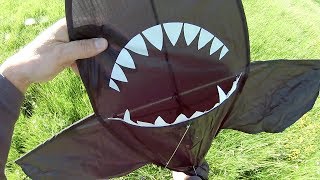 Kites on Webbs Heath 3D Shark Kite