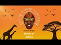 African night  roots of africa