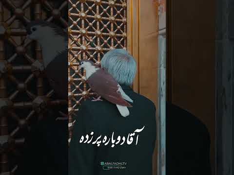 هوای این روزها