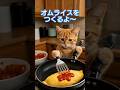 ココがオムライスをつくるよ〜🍳🍅#猫#茶トラ猫#ai猫#料理#cat#catshorts #catvideos #catlovers #aicat #catholic #catlife