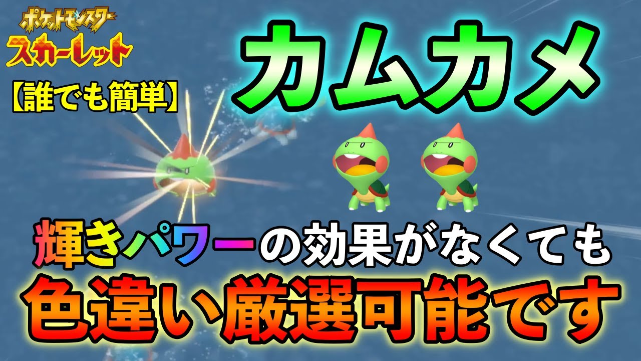 【ポケモンSV】 カムカメ(カジリガメ)の色違い厳選方法をご紹介 輝きパワーの効果がのらない方法での厳選【色違い厳選】 - YouTube