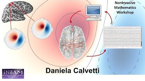 NonInvasive Mathematics - Daniela Calvetti