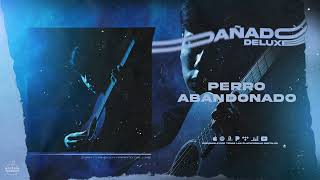 Video thumbnail of "Ivan Cornejo - Perro Abandonado - deluxe (Audio Oficial)"