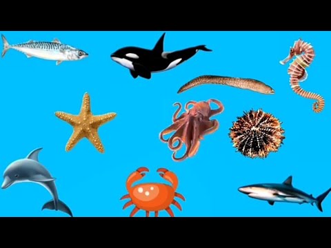 Артқы бөлмеде порно видео бар.