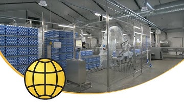 Pallet washing/Tray washing/Interlayer washing - Pallet and Tray Washing Machine at Grading Station