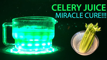 Celery Juice for 30 Days - Heartburn & Food Sensitivities Cured?