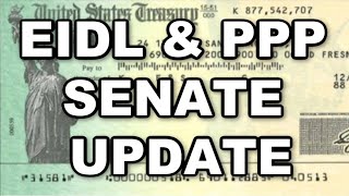 Senate Hearing on the EIDL Advance, EIDL Loan & PPP Program | What You Should Know!