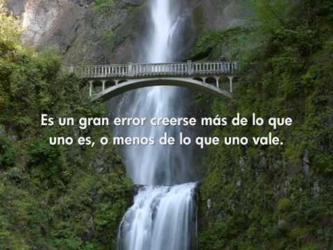 Frases y pensamientos para reflexionar