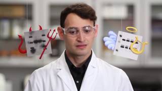 Are Your Western Blots Good Blots Or Bad Blots?