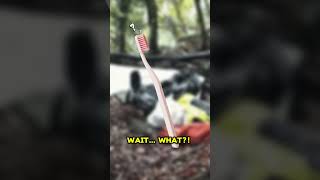 Scandal, Bikinis And Death In The Mountains