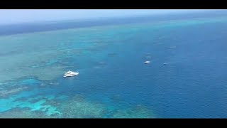 👍大堡礁🥽海洋生物生態日常！🎞Great Barrier Reef marine life ecology daily!