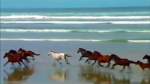 سورة العاديات بصوت خالد القحطاني ...رائعة