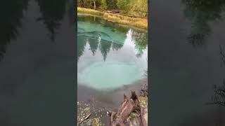 краткий обзор Гейзеровое озеро #алтай #бюджетныйотдых #озеро