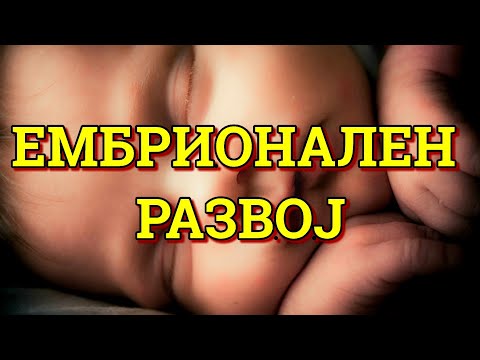 ТАЈНИТЕ НА ЕМБРИОНАЛНИОТ РАЗВОЈ (БИОЛОГИЈА IV)