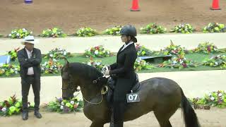 Isabela Pelaez Pineda, Medalla De Bronce Amazonas Junior A, Valida De Equitacion Asdesilla 2025